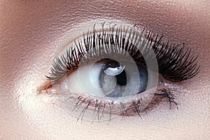 Macro eye with fashion light make-up, long eyelashes, eyebrows