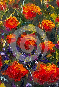 Macro flowers Red yellow poppies in green grass. Fragment of close-up painting. Canvas, oil, palette knife. Abstract flowers. Text