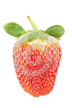 Macro food collection - Strawberry