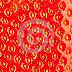 Macro food collection - Strawberry