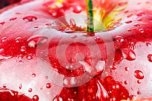 Macro of fresh red wet apple