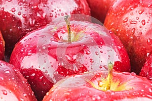 Macro of fresh red wet apples