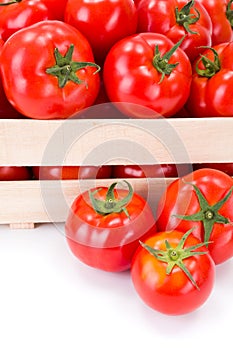 Macro of fresh tomatoes (Solanum lycopersicum) photo