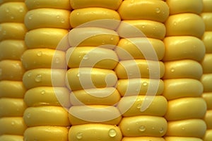 Macro of fresh yellow corn kernels with water drops