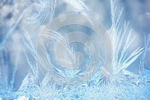 macro frost