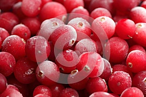 Macro of frozen cranberry berries, background texture, closeup