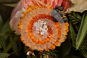 Macro on frozen a frozen orange gerbera Daisy flower. Frozen in time.
