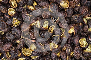 Macro full frame closeup of raw brown whole chinese sichuan timut pepper corns with citrus anise taste