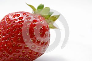 Macro  of the garden strawberry Fragaria ananassa