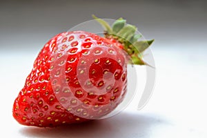 Macro  of the garden strawberry Fragaria ananassa