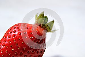 Macro  of the garden strawberry Fragaria ananassa