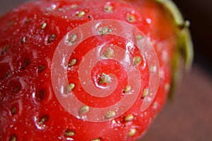 Macro  of the garden strawberry Fragaria ananassa