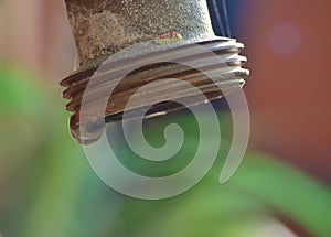 Macro Garden Tap