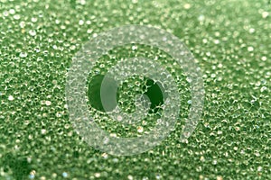 Macro of green sponge texture background