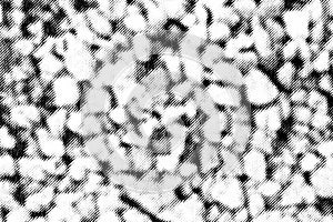 Macro Halftone Pebble Texture in Black and White