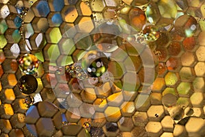 Macro honey bubbles on a honeycomb