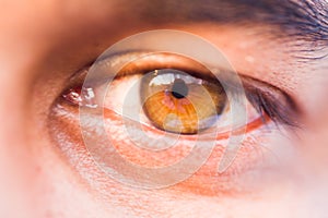 Macro of a human eye