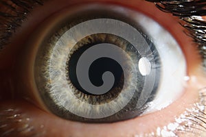 Macro human eye, dilated pupil of gray color, close-up retina