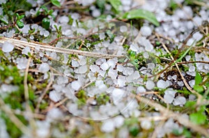 Macro image of accumulated hailstones on the ground