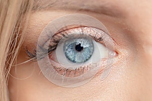 Macro image of beautiful blue eye
