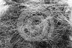 Macro Image of Black and White Cat Hair Collected After Grooming Session