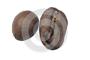 Image of coffee-bean on the white background isolated