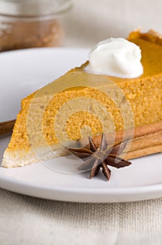 Macro Image of Delicious Pumpkin Pie with Yogurt, Cinnamon Sticks and Star Anise