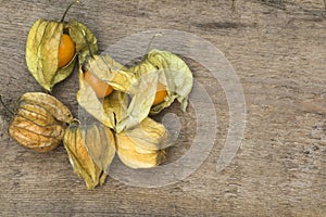 Macro image of fresh physallis berries