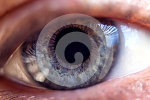 Macro image of human blue eye, close-up details