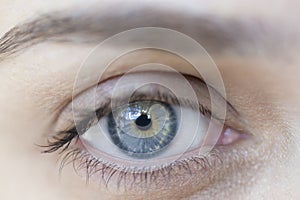 Macro image of human eye.