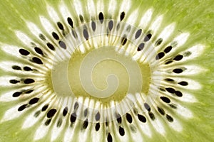 Macro image of kiwi fruit