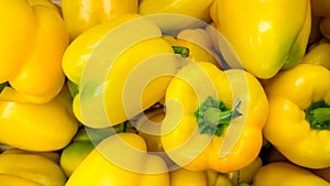 Macro image of lots of fresh yellow papricas or bell peppers. Texture or pattern of fresh ripe vegetables