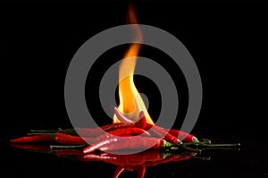 Macro Image of Red Hot Chilli Peppers with Flames of Fire on Black Background With Reflection