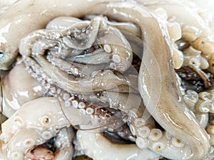 Macro image of slimy raw octopus tentacles