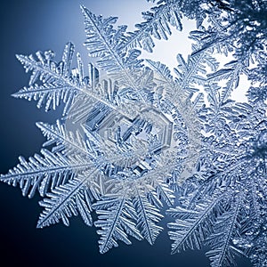 Macro image of a snowflake, showcasing its intricate hexagonal structure