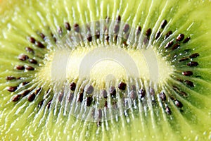 Macro juicy kiwi fruit center