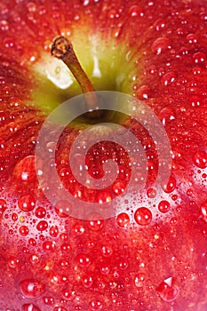 Macro juicy red apple