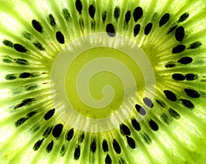 Macro Kiwi Fruit Center