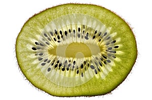 Macro Kiwi Fruit Center Close up