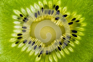 Macro of a Kiwifruit