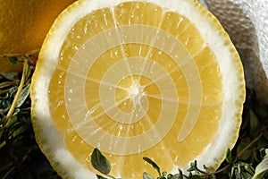 Macro of lemon slices. Tasty and bright-2.