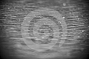 Macro LP vynil grooves