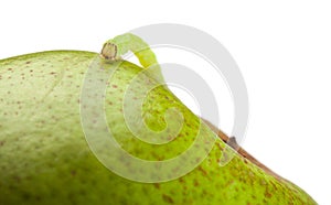 Macro of measuring worm on pear