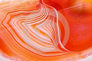 Macro mineral orange agate in crystals on white background