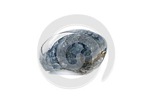 Macro mineral quartz stone with dumortierite on a white background photo