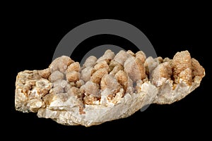 Macro mineral quartz stone of two genirats on a black background