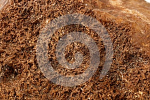 Piedra ágata marrón en blanco 