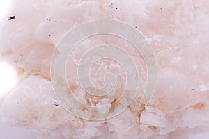 Macro mineral stone amphibolite in quartz on a white background photo