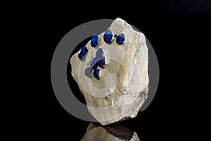 Macro mineral stone Azurite in siltstone against black background