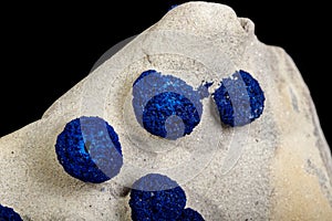 Macro mineral stone Azurite in siltstone against black background